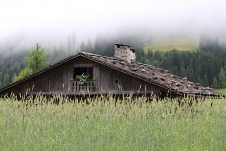 山间小屋, 小木屋, 木瓦屋顶, 黑麦, 玛丽亚 luggau, lesachtal, 雾