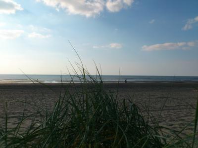 海, 北海, 海滩, 假日, 海的边缘, 沙子, 沙海滩