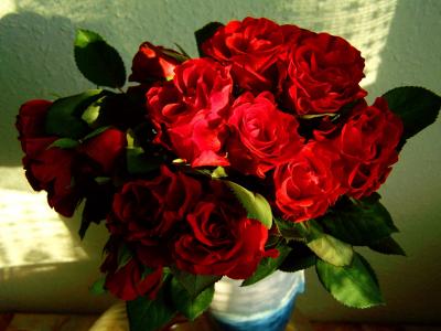 红玫瑰, 花束, 花, 妇女节, 玫瑰-花, 爱, 红色