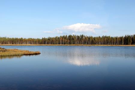 芬兰, 湖, 水, 风景名胜, 天空, 云彩, 森林