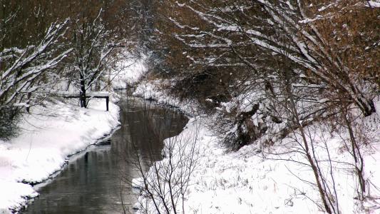 冬天, 河, 自然, 白雪皑皑, 雪, 树, 低温