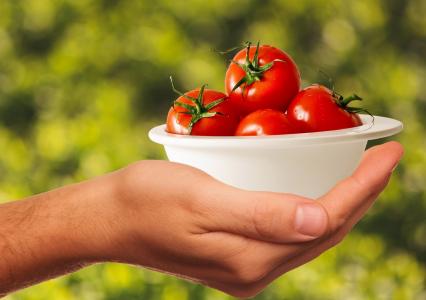 西红柿, 蔬菜, 健康, 食品, 美味, 红色, 维生素