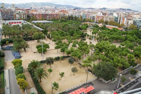 公园, 树, 街道, 巴塞罗那, 西班牙