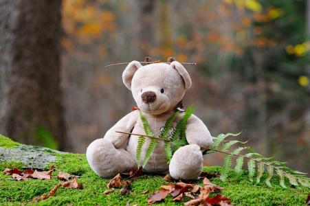 玩具熊, 熊, 儿童玩具, 森林, 毛绒玩具, 泰迪, 自然