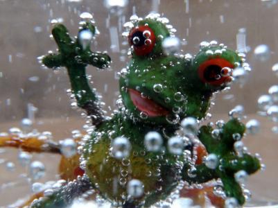 青蛙, 水, 绿色