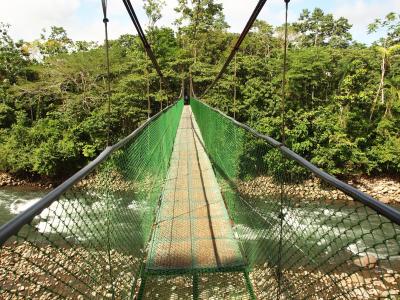 悬索桥, 哥斯达黎加, 水, 丛林, 国家公园, 雨林, 河