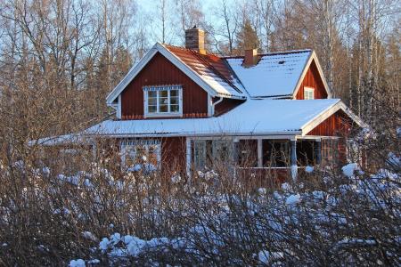 雪, 冬天, 感冒, 美丽, 红色, 传统, 木材