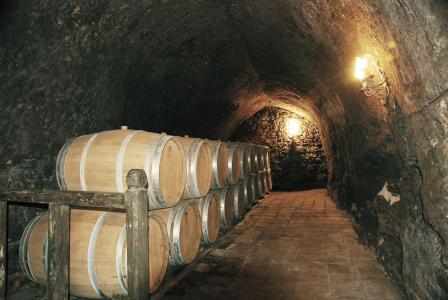 酒厂, 葡萄酒, 洞穴, 阿罗约酒厂