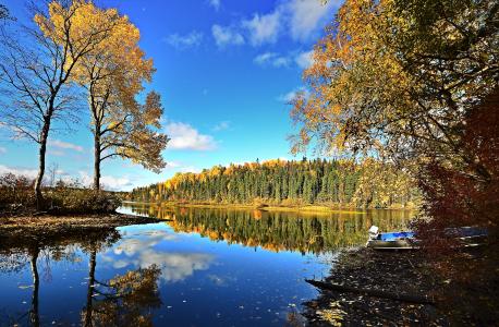 秋天, 湖, 景观, 树木, 颜色, 天空, 几点思考