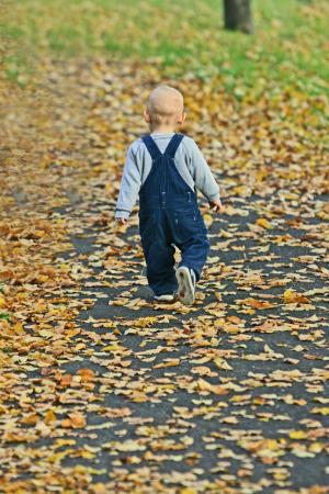 宝贝, 公园, 秋天, 秋天的树叶, 快乐, 树, 波美度新鲜