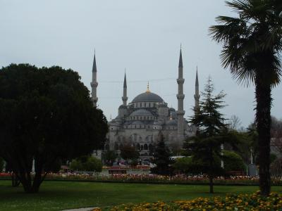 伊斯坦堡, 清真寺, 土耳其, 建筑, 尖, 外面, 树木