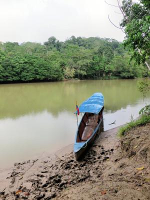 独木舟, amazonie, 里约-那坡县