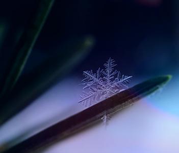 雪花, 雪, 冰晶体, 冬天, 冻结, 冬天的魔法, 水晶