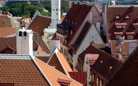 爱沙尼亚, 塔林, 屋面, 瓷砖, 建筑