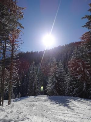太阳, 光线, 景观雪, 冬天, 山, 阿尔卑斯山