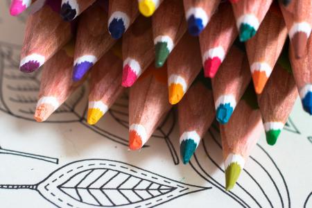 着色书为成人, 彩色的铅笔, 着色书, 创意, 抗, 颜色, 钢笔