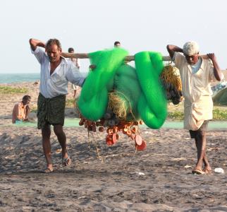 渔民, 蚊帐, 印度, 工作, 捕鱼, 海滩, 渔网