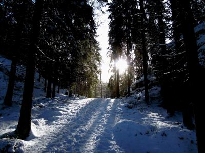 太阳, 路径, 雪, 自然, 芬兰语, 蓝色, 道路