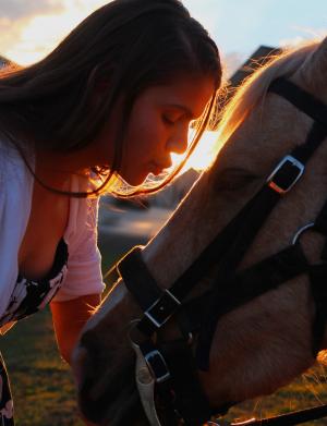 接吻, 马, 女孩, 爱, 儿子, goldenhour, 快乐