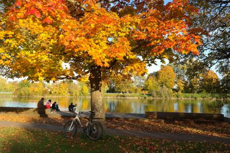 秋天, 每年的时候, 多瑙河, 银行, 休息, 田园, 山地自行车