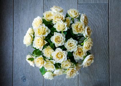 玫瑰, 束玫瑰花, 花束, 白色, 黄色, 顶视图, 浪漫