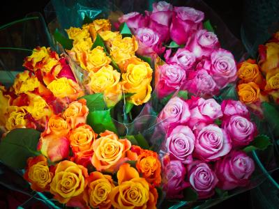 花, 花束, 玫瑰, 插花, 情人节那天, 颜色, 装饰