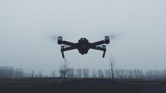 照片, 飞行, quadcopter, 树, 飞行, 字段, 雾