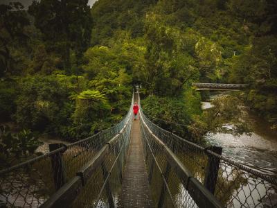 桥梁, 摇摆桥, 人, 红色, 绿色, 新西兰, 指环