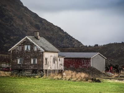 房子, 农村, 字段, 罗弗敦, 挪威, 冬天, 绿色