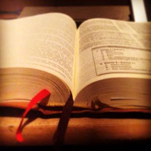 圣经 》, 书, 老, 从历史上看, 历史, 神的话语, 阅读