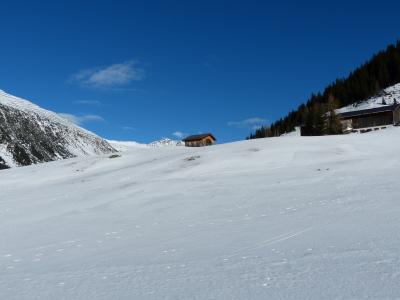 雪原上, 冬天, 阿尔卑斯山