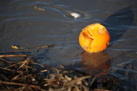 漂浮物, 橙色, 暮光