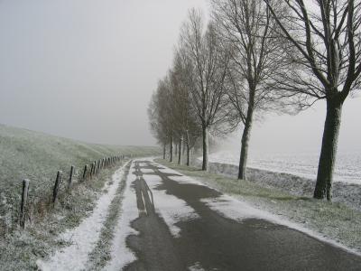 雪, 圩, 新路 beijerland, 雾, 树木, 道路