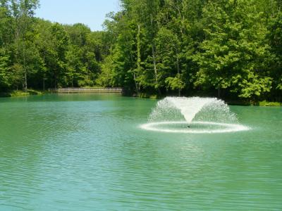 池塘, 喷泉, 水, 自然, 公园, 户外, 景观