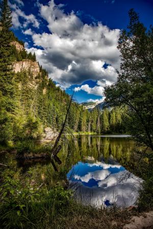 蜥蜴湖, 科罗拉多州, 几点思考, 天空, 云彩, 山脉, 森林