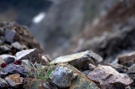 岩石, 岩石, 植物, 摇滚滑梯, 悬崖, 小山, 山
