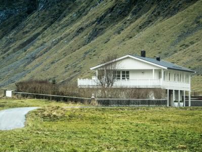 房子, 农村, 字段, 罗弗敦, 挪威, 冬天, 绿色