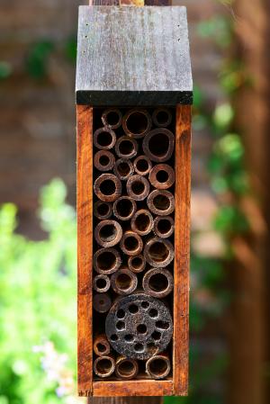 昆虫之家, 蜂酒店, 孤蜂, 泥工和叶子切削刀蜂房子, 野生, 木材, 木家