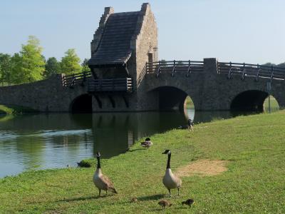 桥梁, 鹅, 自然, 湖, 公园, 中世纪