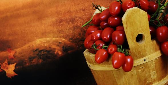 西红柿, 木桶, 收集, 蔬菜, 健康, 收获, 番茄