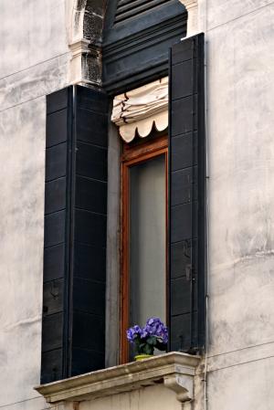 窗口, 花, 百叶窗, 威尼斯, 意大利