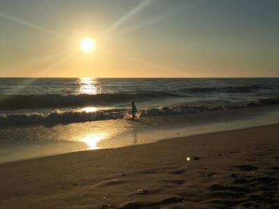 海滩, 日落, 加利福尼亚州, 儿童, 剪影, 晚上