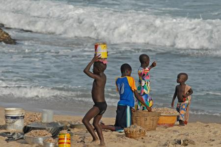 加纳, 儿童, 网上冲浪, 海, 水, 贻贝