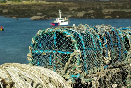 诺曼底, chausey 群岛, 捕鱼, 绳子, 渔港, 航海的船只, 海