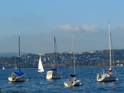 帆船, 康斯坦茨湖, 水, 小船, 蓝蓝的天空, 康斯坦斯, 航海的船只