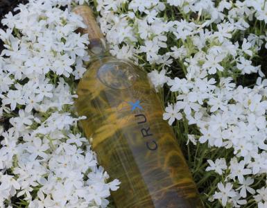 花, 葡萄酒, 瓶