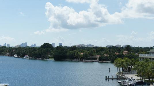 迈阿密海滩, 棕榈树, 水, 摩天大楼, 航海的船只