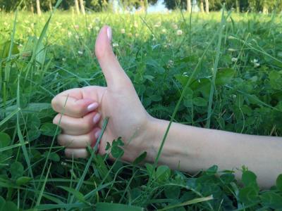 竖起大拇指, 妇女手, 标志, 积极, 手指, 草, 绿色