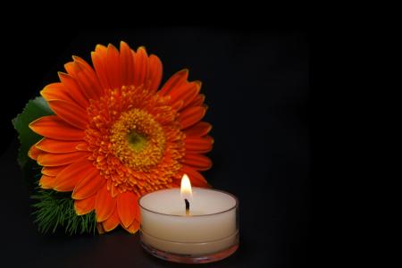 蜡烛, 花, 哀悼, trauerkarte, 静物, 灯笼, 烛光