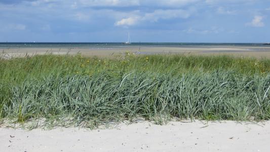 沙丘, 波罗地海, 海, 假日, 假期, 恢复, 海滩